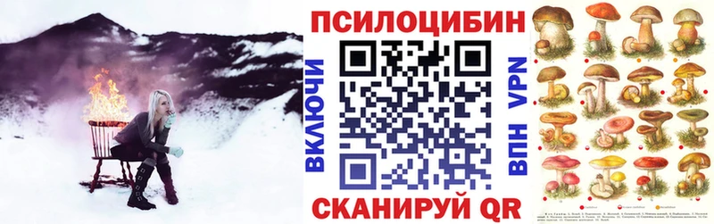 Псилоцибиновые грибы прущие грибы  Кировск 