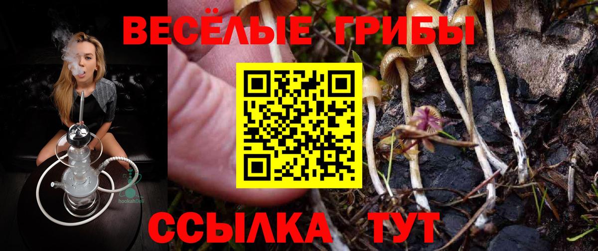 Кировск  Галлюциногенные грибы мицелий  Вход с VPN 